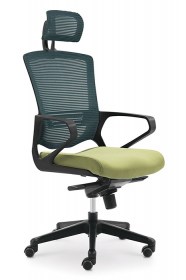 Office Chair with backbone support