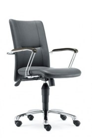 Mid Back Office Executive Chair d29as